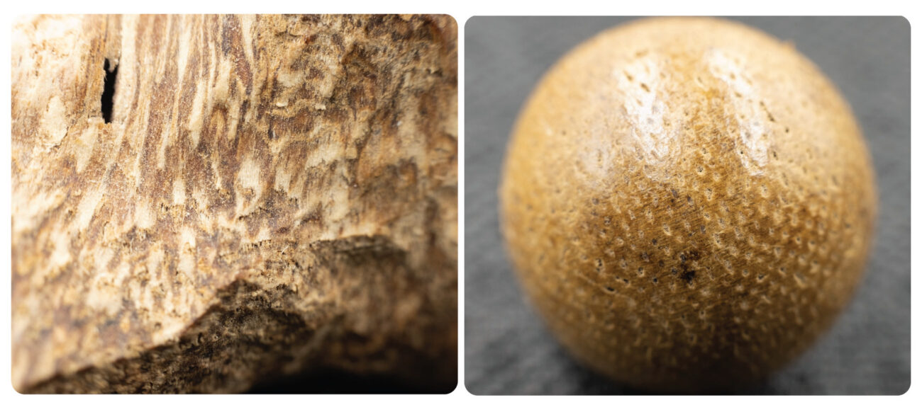 (05)-BANNER-AGARWOOD