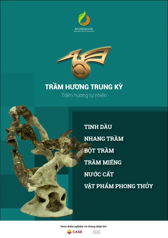 trung-ky-catalog