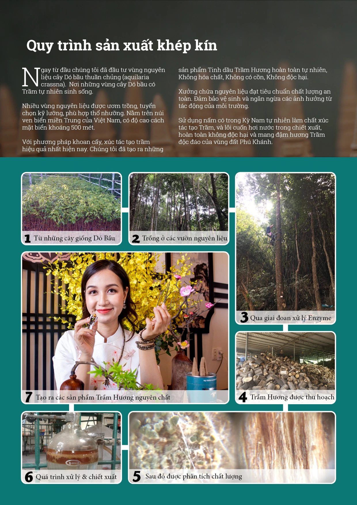 trung-ky-catalog