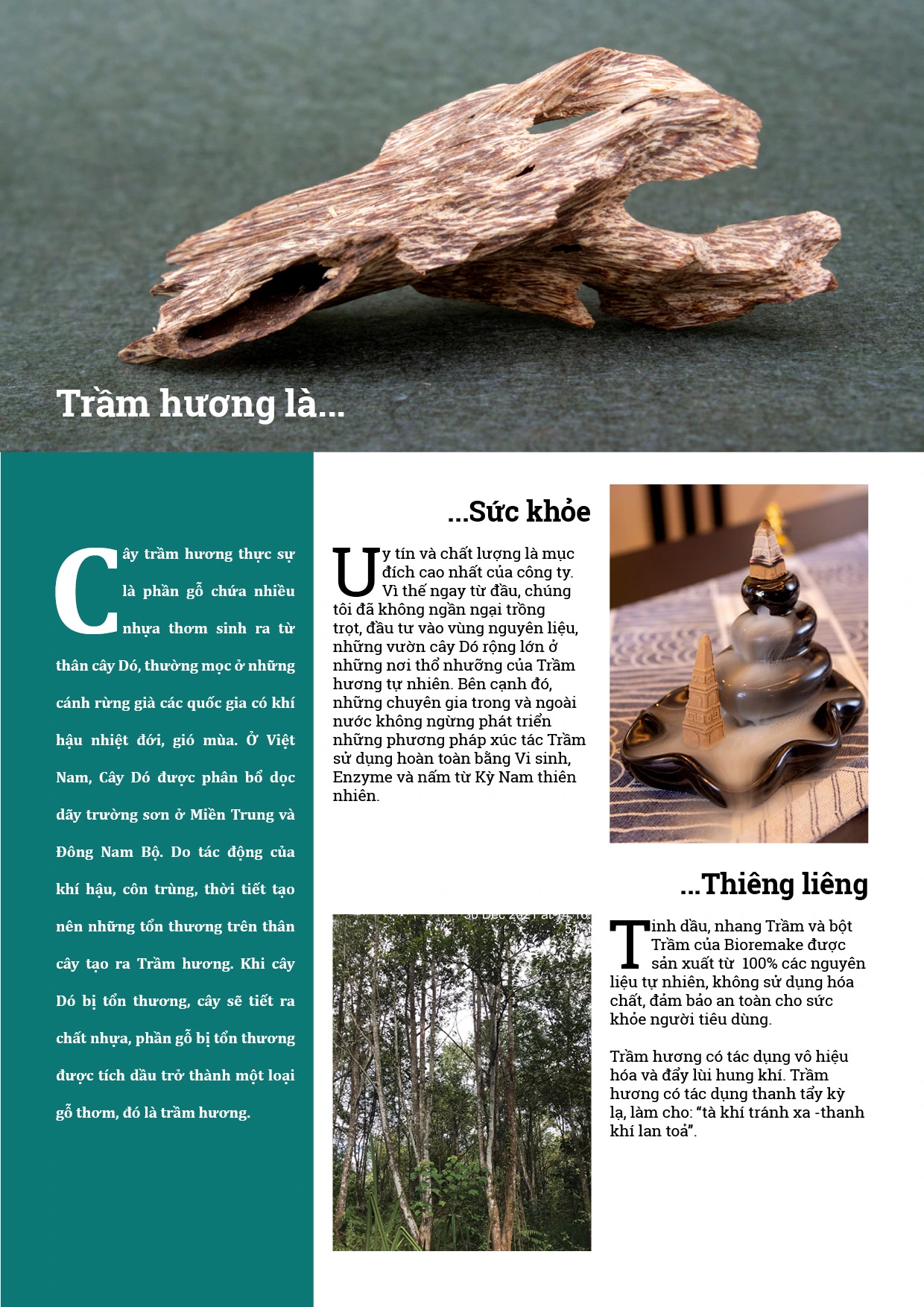 trung-ky-catalog