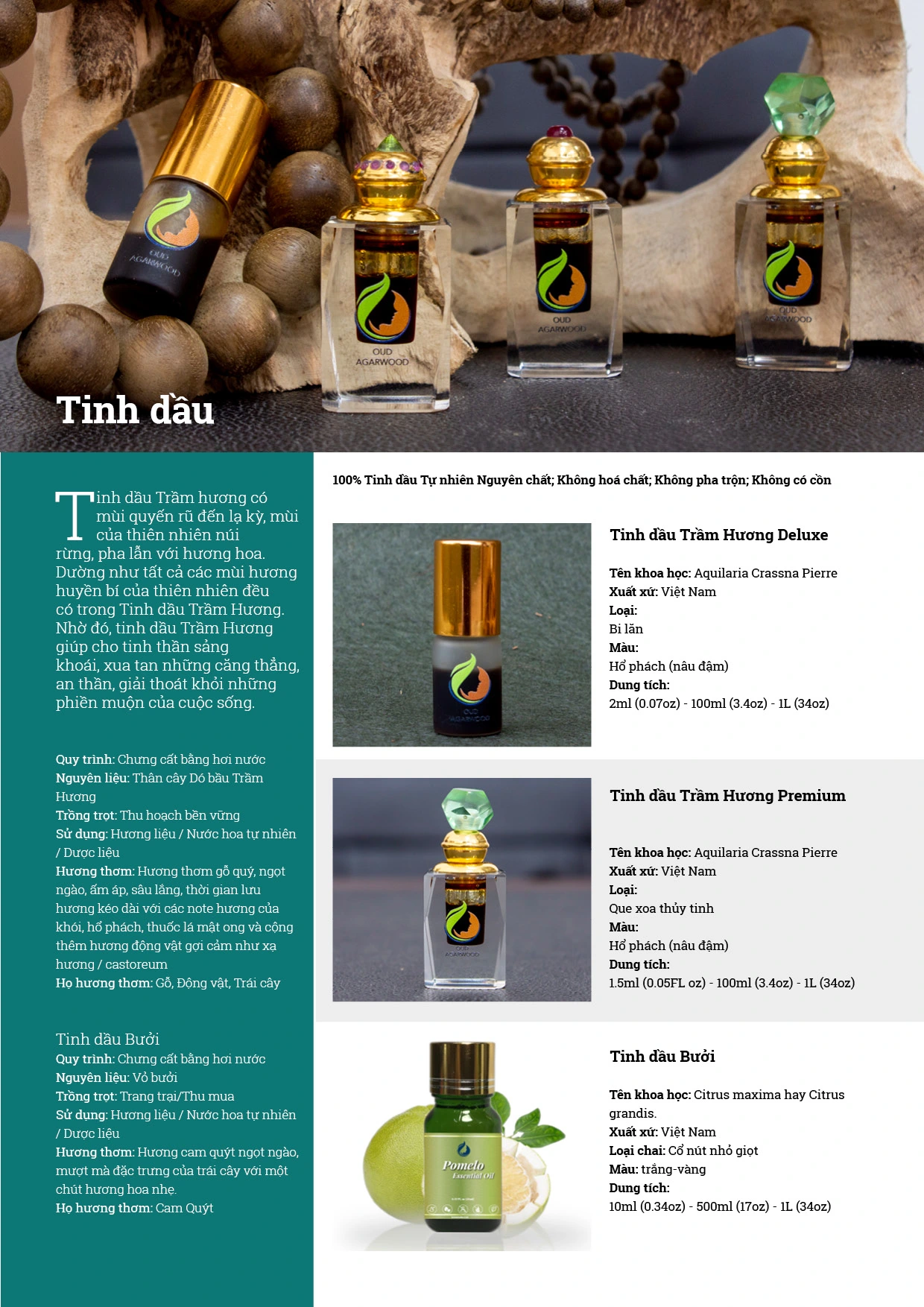 trung-ky-catalog