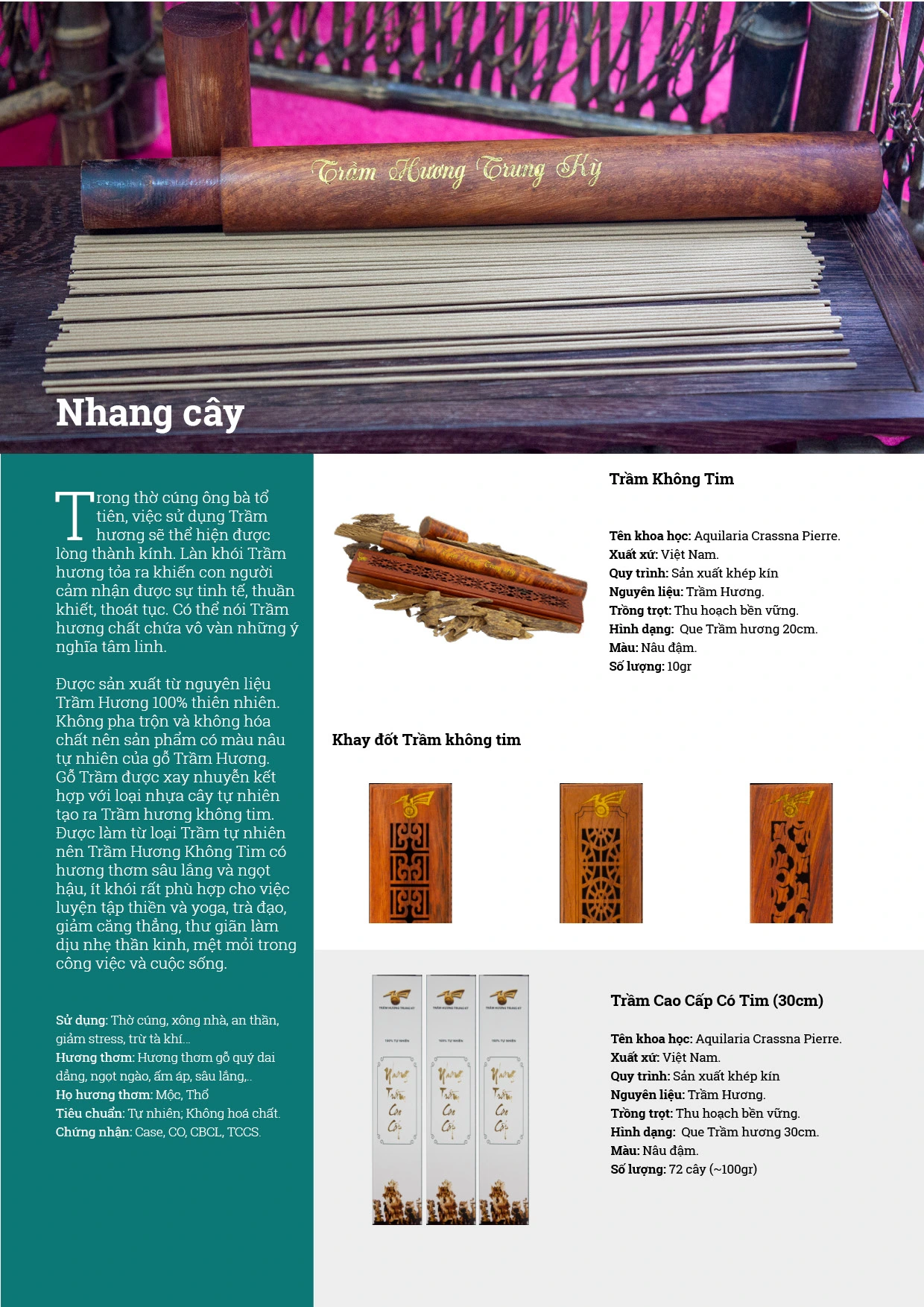 trung-ky-catalog
