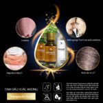 Tinh Dầu Hoắc Hương (Patchouli Essential Oil) - Ảnh 3