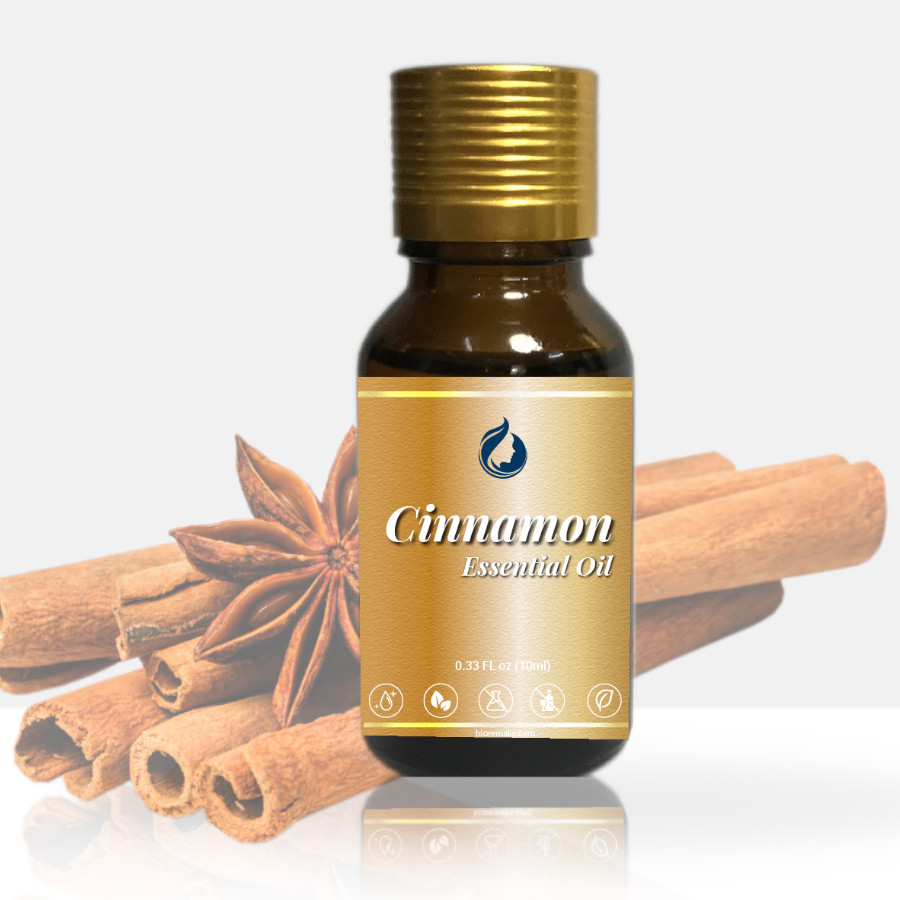Tinh dầu Quế cao cấp - Cinnamon Essential Oil Tinh Dầu Vỏ Quế (Cinammon Back Essential Oil) - Ảnh 1